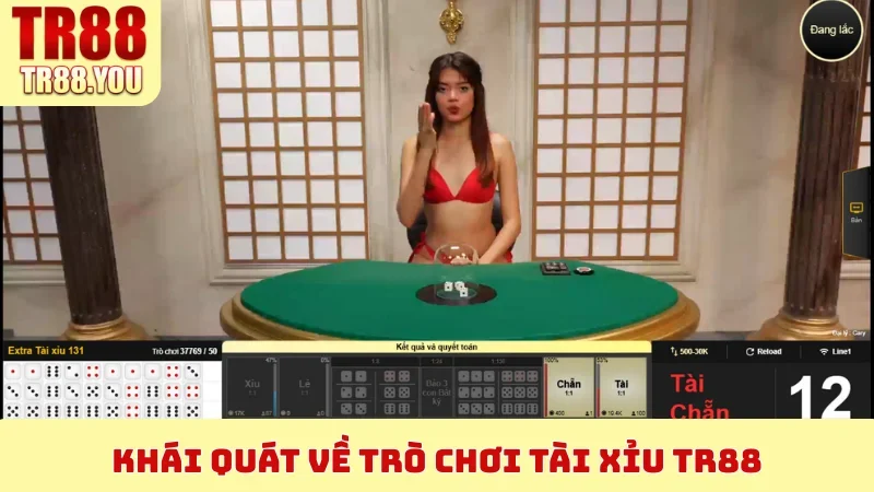 Khái quát về trò chơi Tài Xỉu TR88