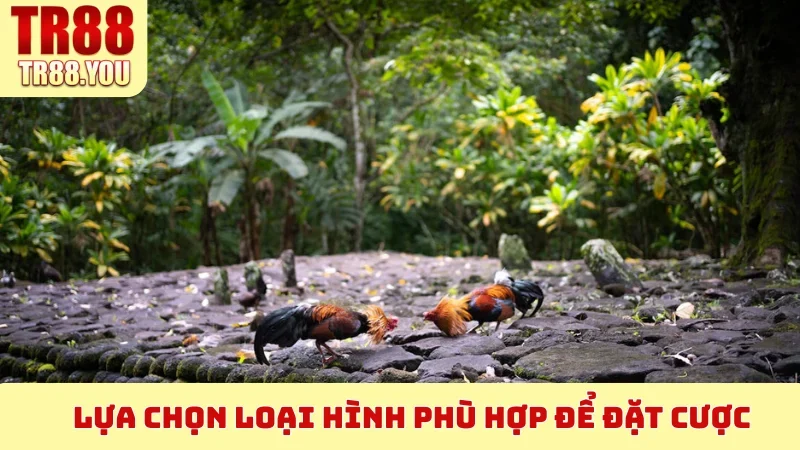 Lựa chọn loại hình phù hợp để đặt cược