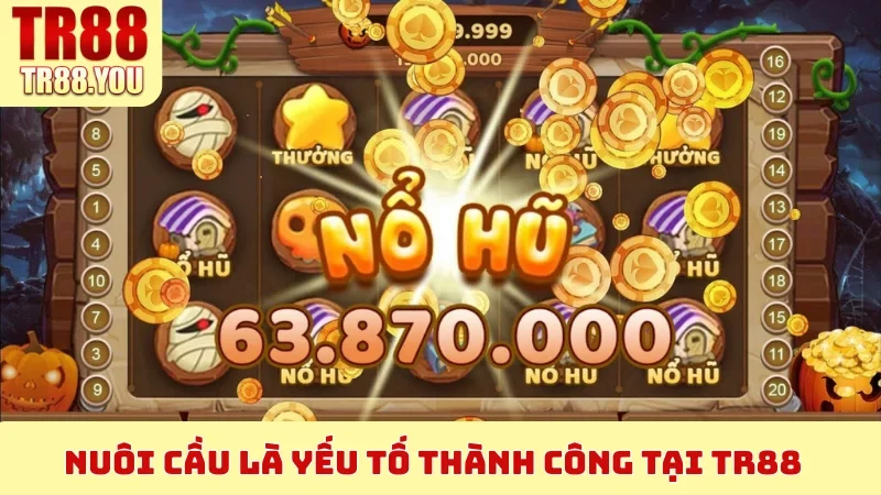 Nuôi cầu là yếu tố thành công tại TR88