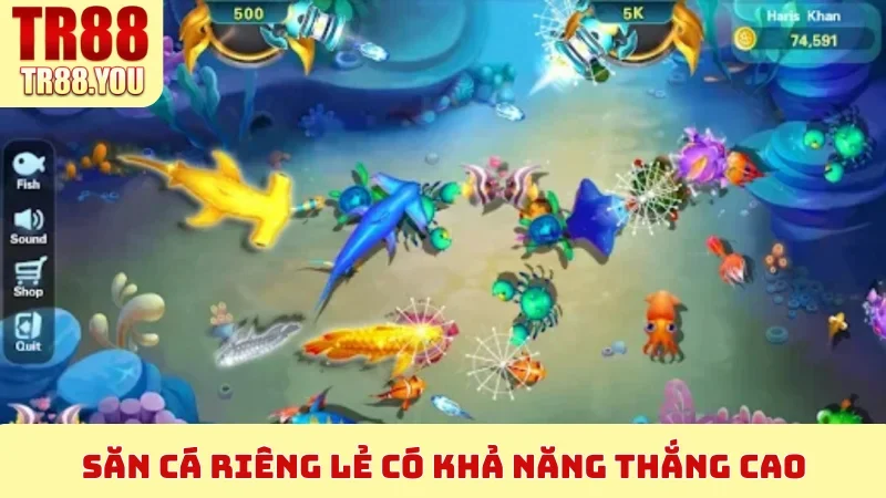 Săn cá riêng lẻ có khả năng thắng cao