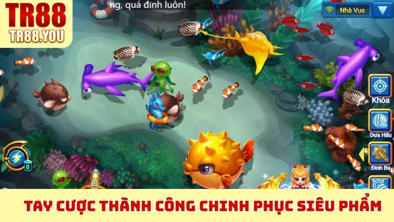 Tay cược thành công chinh phục siêu phẩm